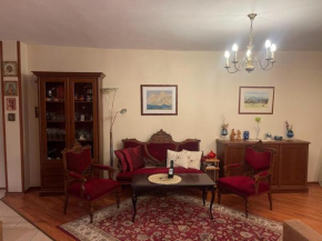 Boutique big apartment Joy